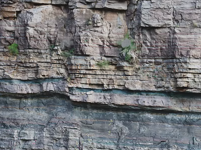 Outdoor Garden Landscape Featuring Natural Stratified Rock Layers And Small Green Plants 3d model