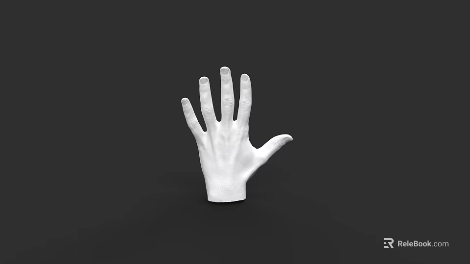 White Human Hand Model Isolated On Black Background With Detailed Fingers 3d model 