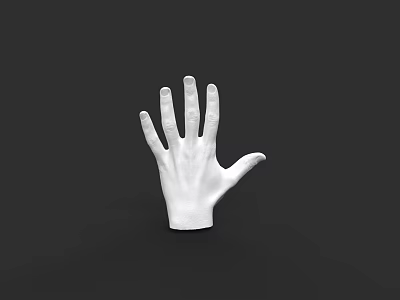 White Human Hand Model Isolated On Black Background With Detailed Fingers 3d model
