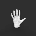 White Human Hand Model Isolated On Black Background With Detailed Fingers