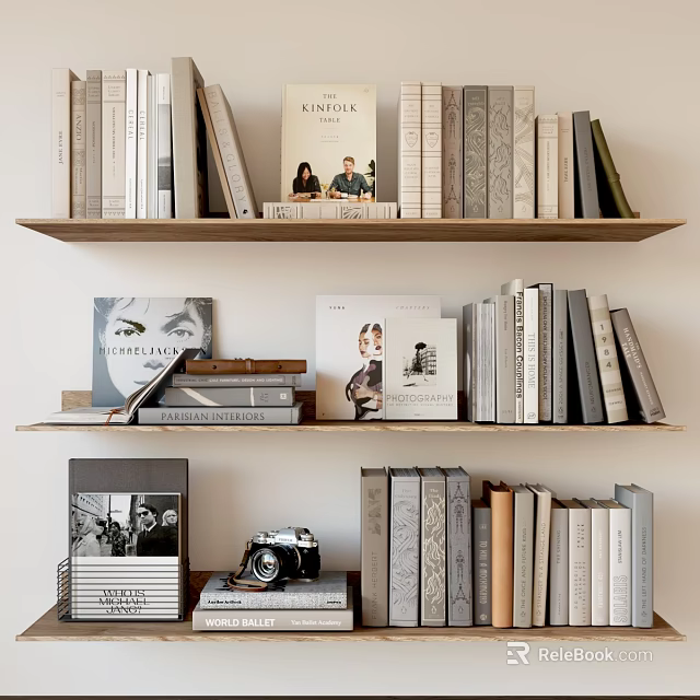 Well Arranged Books And Magazines On Wooden Shelf With Various Sizes And Decorative 3d model 