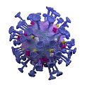 Modern New Coronavirus New Coronavirus Bacterial Cell Biological Research Biochemistry Scientific Research Drawing 3d model