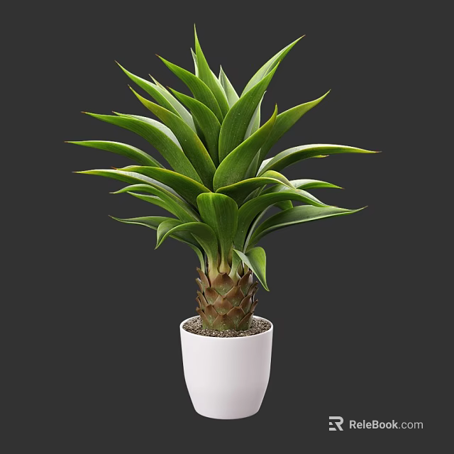 Beautiful Potted Bonsai Plant With Lush Green Leaves In White Ceramic Pot 3d model 