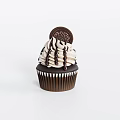 Decadent Cupcake with Fluffy Vanilla Frosting Chocolate Drizzle and Oreo Cookie Topping