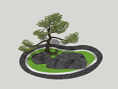 Graceful Pine Tree in Landscaped Area With Green Grass Large Rocks and Circular Border 3d model