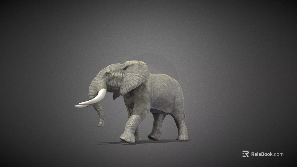 Gray Elephant With Long White Tusks Standing In 3D Model Pose 3d model