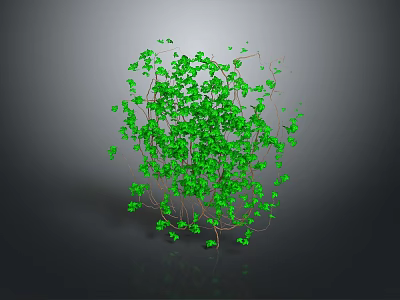 Spherical Green Vine Plant With Dense Leaves And Brown Branches On Dark Background 3d model