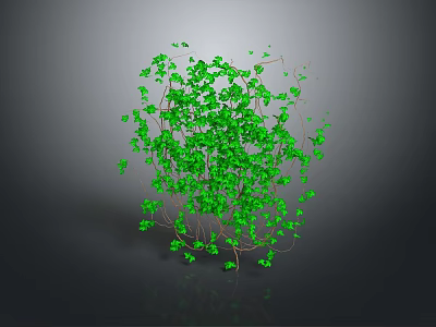 Spherical Green Vine Plant With Dense Leaves And Brown Branches On Dark Background 3d model
