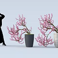 Edible Pink Flowers in Gray and White Vases for Food Decoration