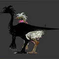 Three Mythical Bird Like Animals With Colorful Feather Designs Standing On White Background