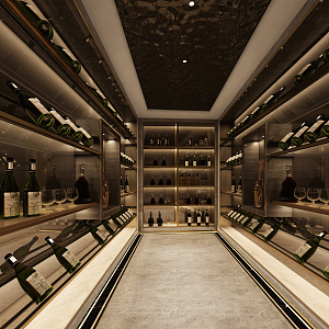 Modern Wine Cellar Clubhouse Wine Cellar 3d model