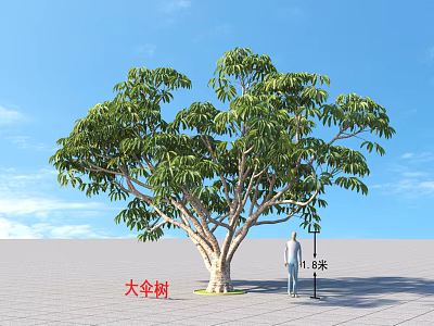 Tall Large Umbrella Arbor With Lush Green Foliage And 1.8m Person Comparison 3d model