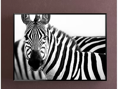Black and White Zebra Animal Painting Framed Artwork on Brown Wall Decor 3d model