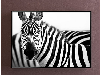 Modern Animal Painting Black and White Children's Room Animal Zebra Decorative Painting model