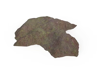 Natural Wood Stone Decorative Piece With Green Moss And Irregular Shape 3d model