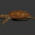 Orange Brown Turtle With Patterned Shell And Detailed Flippers In Realistic Design