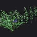 Cartoon Scene Featuring Blue Berries and Green Leaves on Black Background