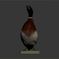 Wild Duck Standing With Green Head And Brown Body On Green Base