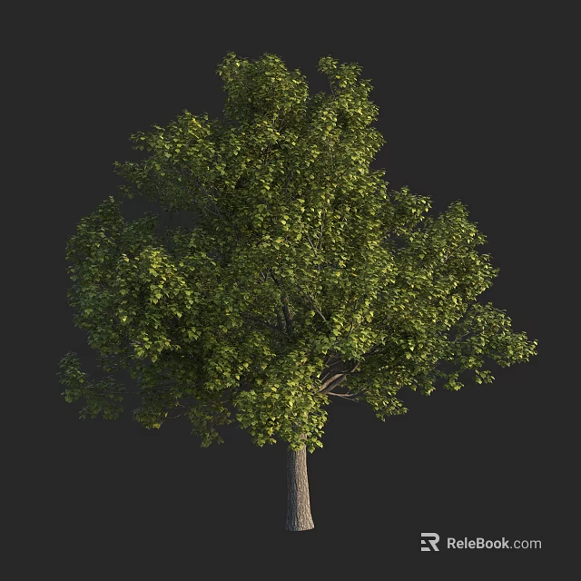 Lush Green Arbor With Dense Foliage And Sturdy Trunk In Landscape 3d model 