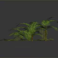 Green Tropical Plants With Lush Palm Leaves And Fern Foliage On Gray Background