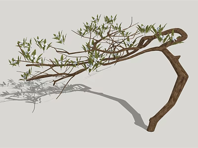 Curved Wooden Branch With Green Leaves And Shadow In Stone Wood Natural Design 3d model