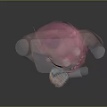 Pink Haired Female Character Holding Microphone Against Gray Background With Small Dots