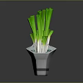 Fresh Green Onions In Geometric Shaped Pot On White Square Mat