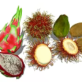 Fresh Exotic Tropical Fruits Dragon Fruit Rambutan Kiwi Sliced With White Flesh And Seeds