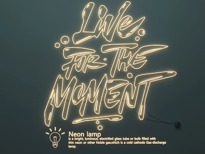 Modern Decorative Neon Lighting Combination Featuring Live For The Moment Text Design 3d model
