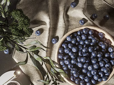 Fresh Ripe Blueberries in a Bowl with Green Leaves on Linen Cloth Dark Background 3d model