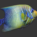 Colorful Fish Doll Toy With Blue Yellow Green Hues Spots And Stripes On Black Background