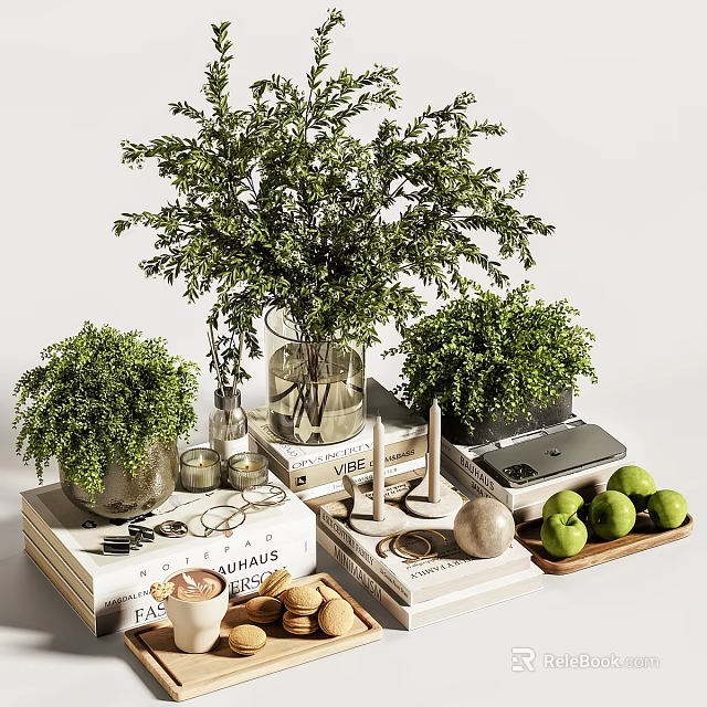 Stylish Decorative Ornament Combination With Green Plants Glass Vase Books And Fruits 3d model 