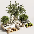 Stylish Decorative Ornament Combination With Green Plants Glass Vase Books And Fruits