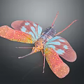 Colorful Insect With Vibrant Transparent Wings And Blue Orange Body Patterns On Dark Background