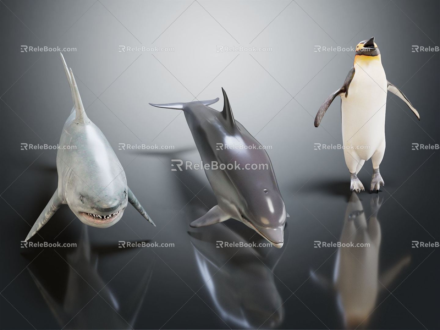 Modern Shark Cartoon Shark 3d model