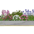 Vibrant Mixed Flowers in White Marble Planter with Pink Purple Blue Blooms and Green Foliage