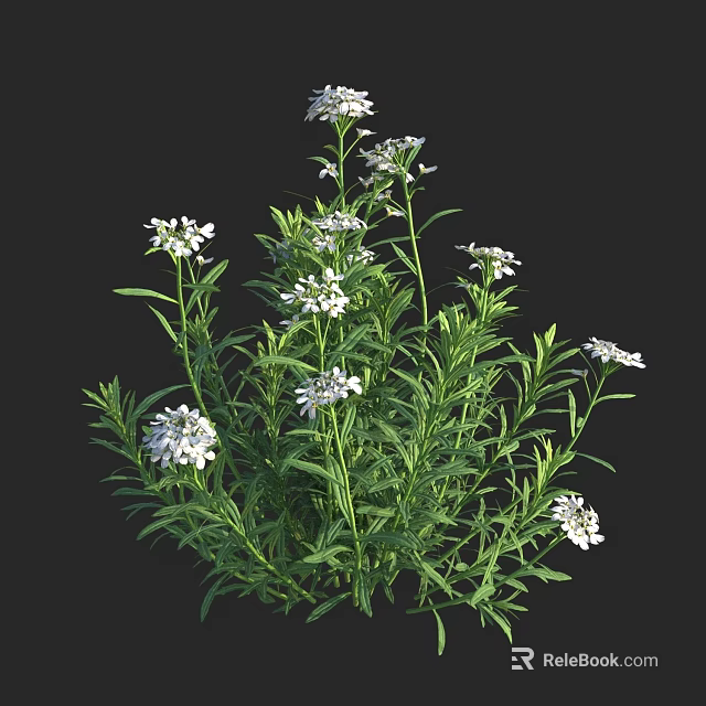 Beautiful White Flowers On Lush Green Plants With Fresh Vibrant Foliage 3d model 