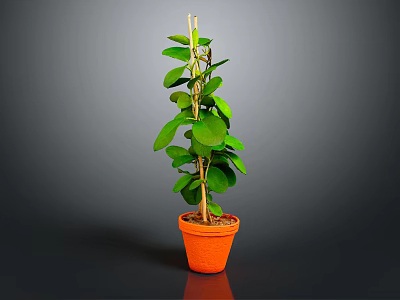 Healthy Green Potted Plant With Lush Leaves And Wooden Support In Orange Pot 3d model