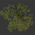 Tree With Green Leaves And Wooden Treehouse Featuring Ladder And Small Roof