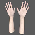 Human Hands And Arms With Natural Skin Tone On Gray Background
