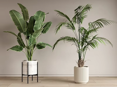 Indoor Decorative Potted Plants With Large Leaf And Palm In White Textured Pots And Stand 3d model