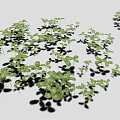 Green Clover Shaped Leaf Seedlings Densely Growing With Shadows On Gray Background 3d model