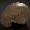 Ancient Fossil Skull With Brown Bone Texture Cracked Surface And Detailed Structure 3d model