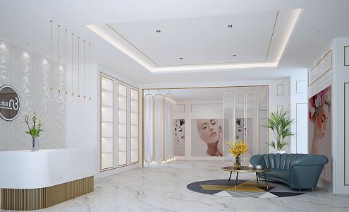 Light luxury beauty salon hall beauty salon reception hall front desk leisure area 3d model