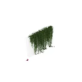 Lush Green Hanging Vines Covering White Indoor Wall with Silhouette