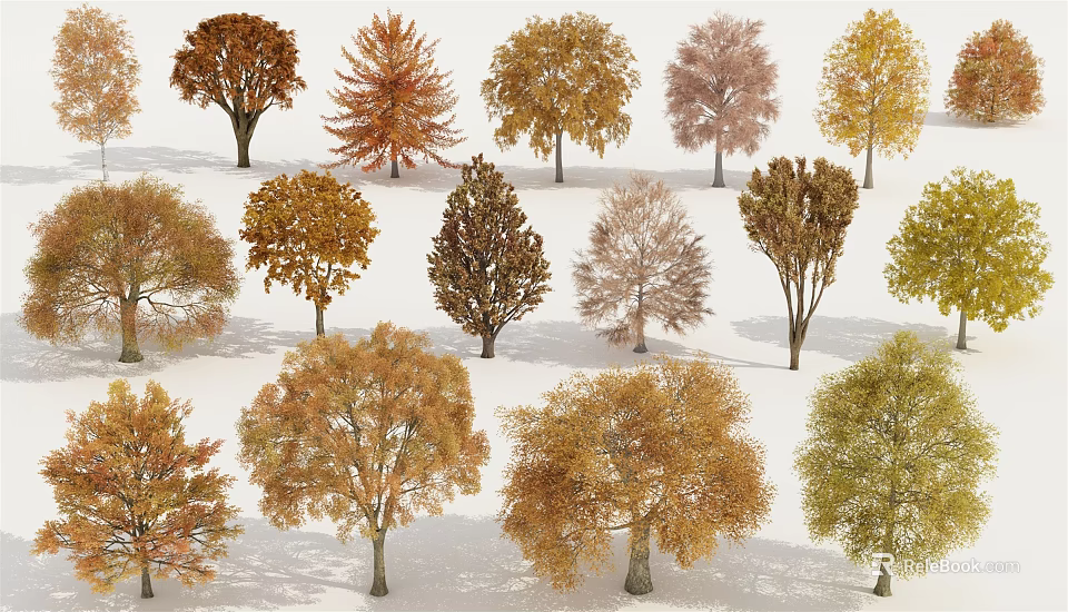 Various Autumn Colored Arbor Trees With Different Foliage Shapes And Sizes 3d model