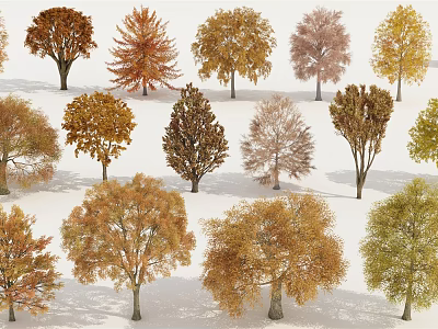 Various Autumn Colored Arbor Trees With Different Foliage Shapes And Sizes 3d model