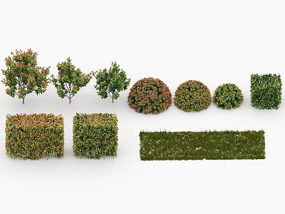 Various Types of Shrubs with Different Shapes and Green Red Foliage for Landscape 3d model