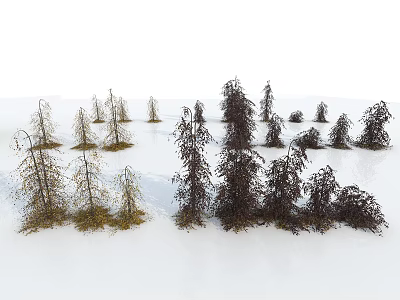 Arbor Trees With Various Heights And Foliage Colors In Natural Outdoor Setting 3d model