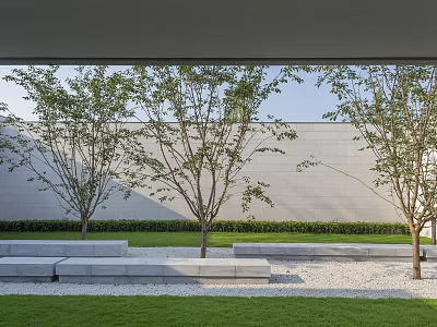 Deciduous Trees in Front of Gray Wall with Stone Benches Grass Lawn and Gravel 3d model